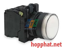 ILLUMINATED PUSHBUTTON - XB5AW3165